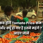 tomato price kab kam honge