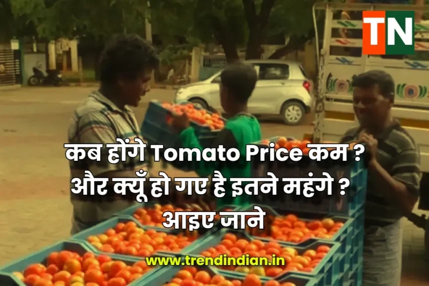 tomato price kab kam honge