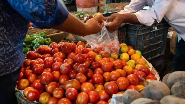 Tomato prices may soon hit ₹300 per kg: Reports