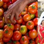Maharashtra farmer becomes millionaire in a month by selling tomatoes