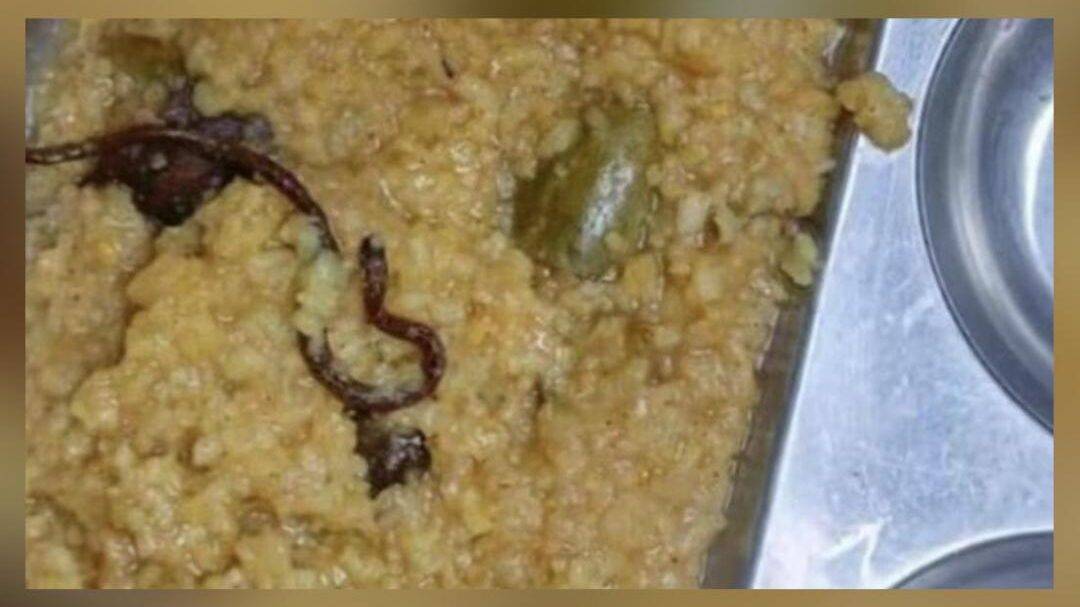 40 kids hospitalised after eating worm-infested mid-day meal in UP