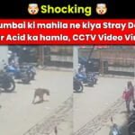 Mumbai-Women-attacks-stray-with-acid