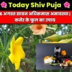 Shiv-puja-today-16-august-ko-kya-hai-kaner-ke-fool-amavasya