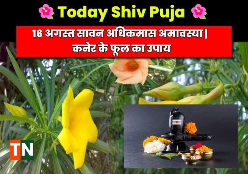 Shiv-puja-today-16-august-ko-kya-hai-kaner-ke-fool-amavasya