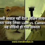 Lion vs. Camera Lion Runs Away With Camera
