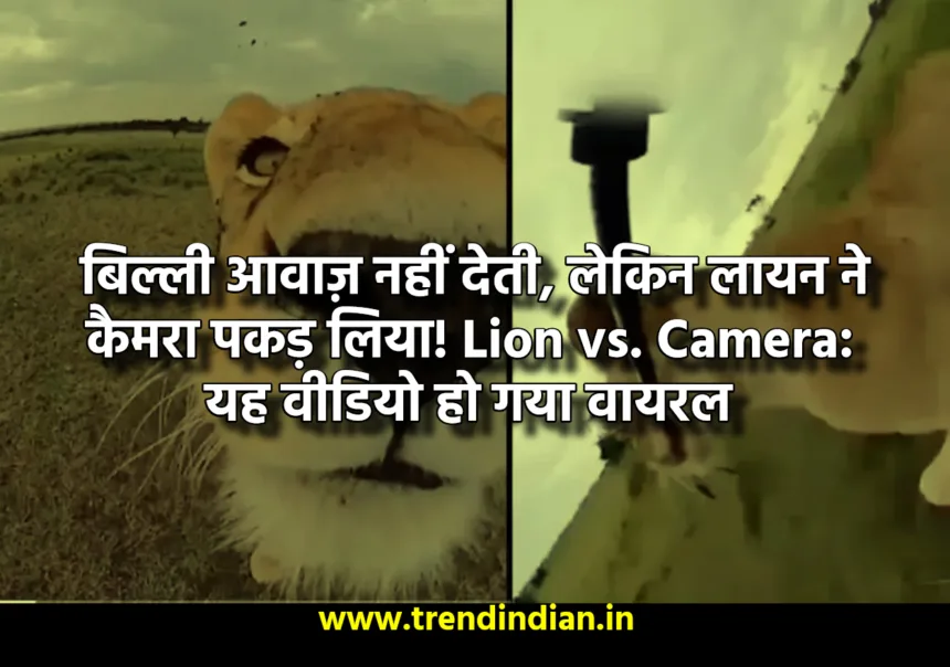 Lion vs. Camera Lion Runs Away With Camera