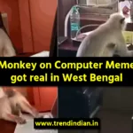 Monkey on Computer Meme got real in west bengal