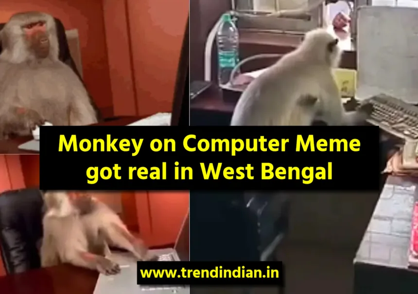 Monkey on Computer Meme got real in west bengal