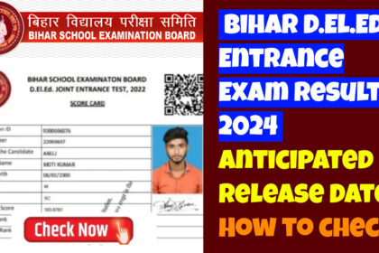 Bihar DElEd Entrance Exam Result 2024